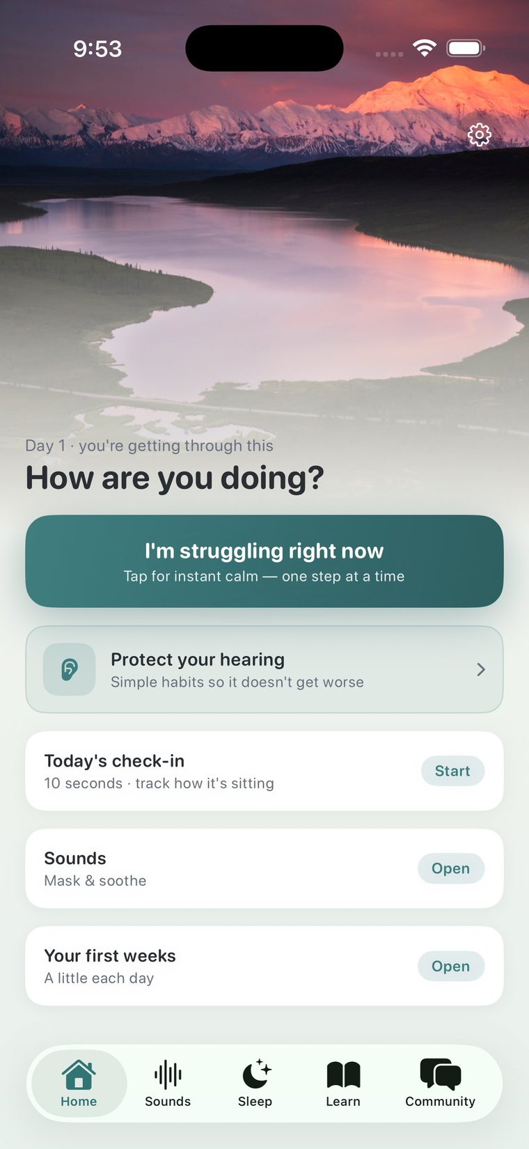 Allay home screen