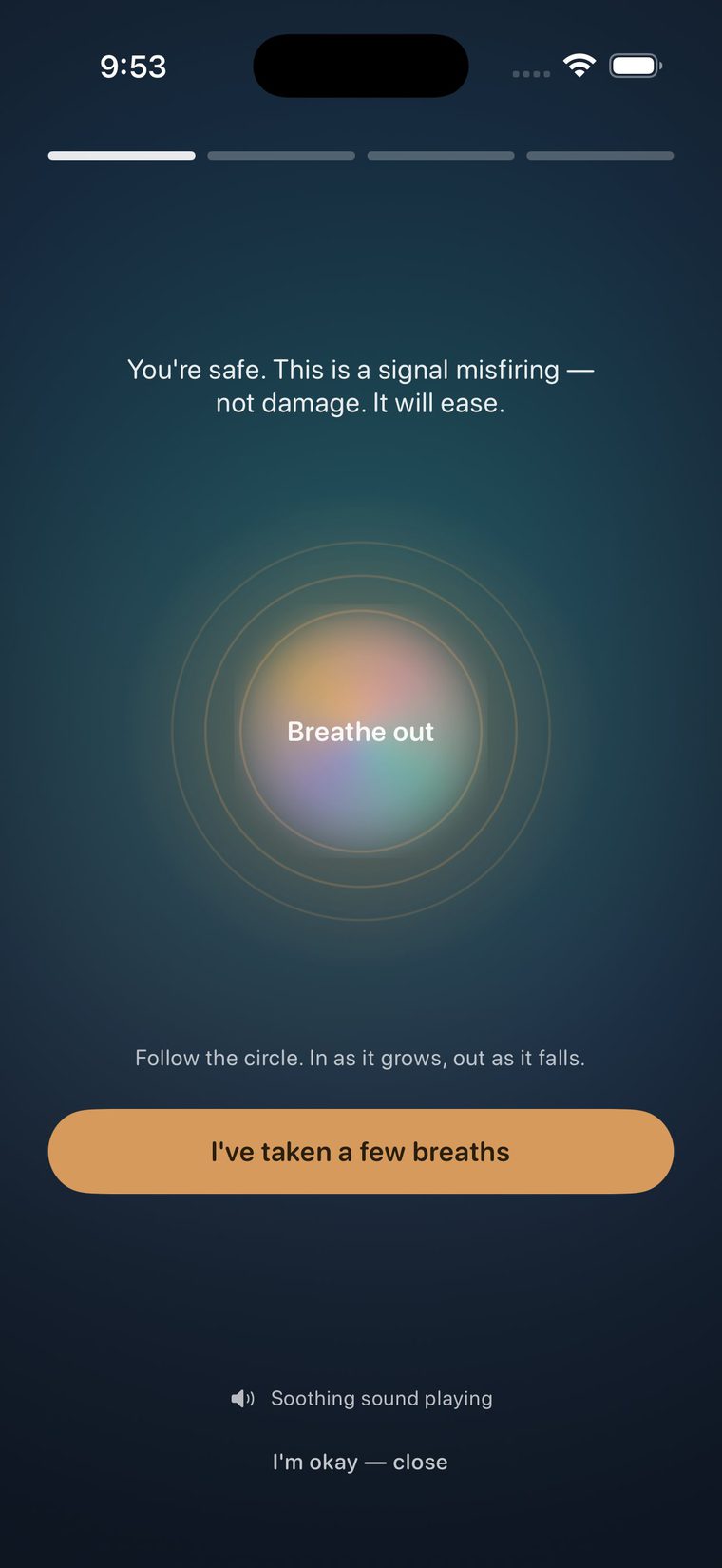 Allay crisis support screen with guided breathing