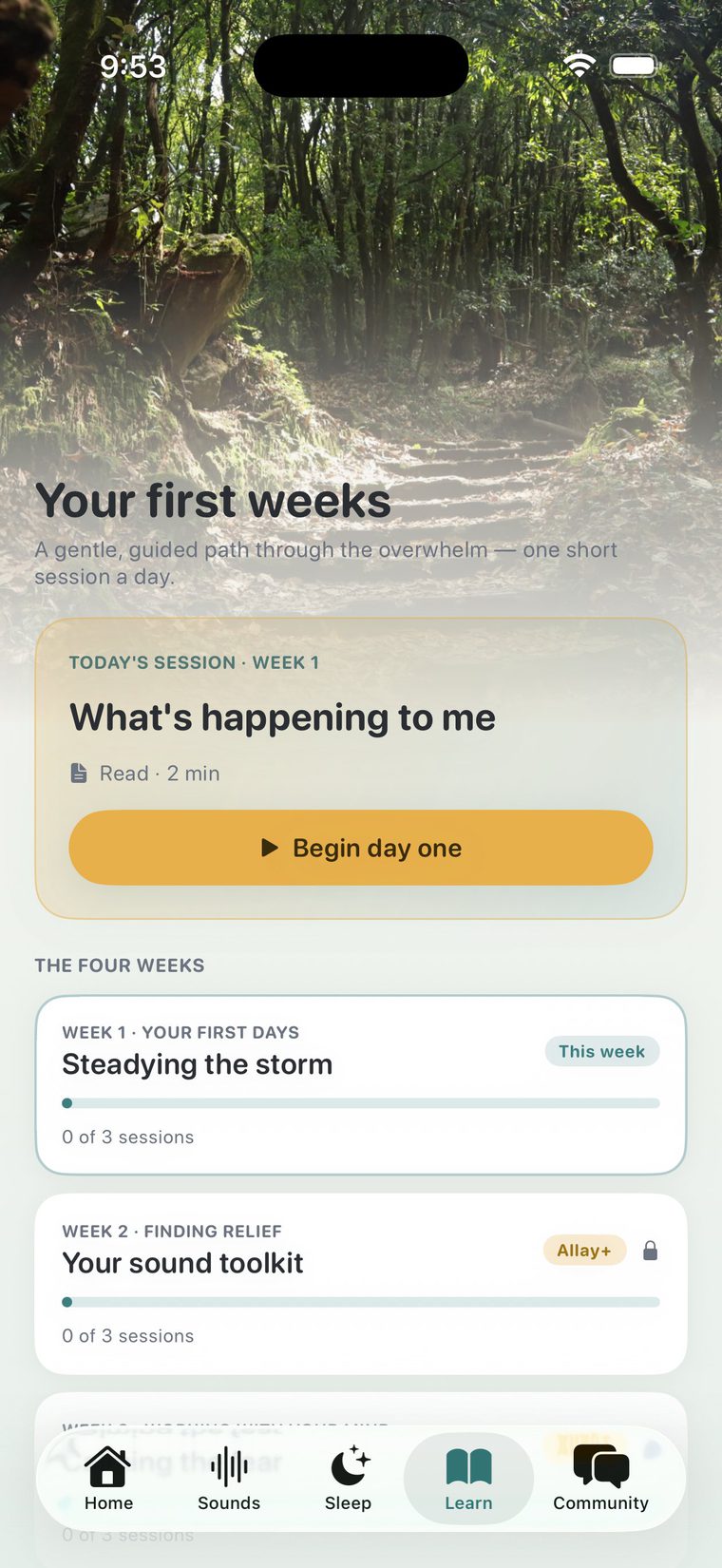 Allay guided program and lessons