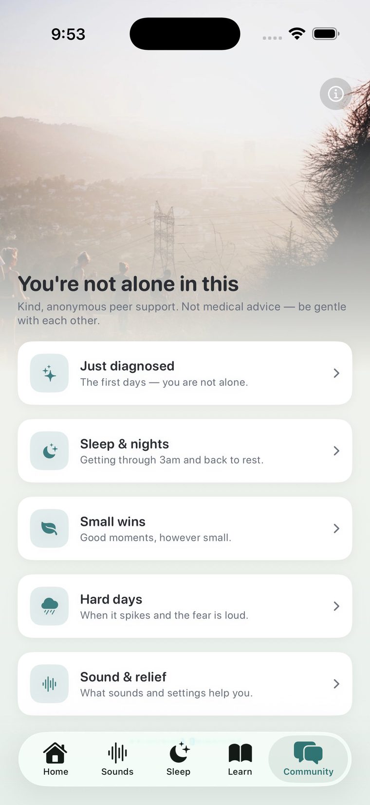 Allay anonymous community